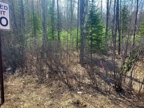 Lot #11B Sanford Road Wells ME 04090
