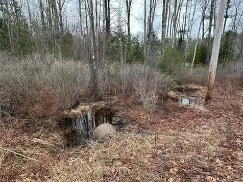 Lot #11B Sanford Road Wells ME 04090