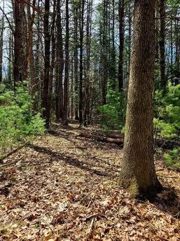 Lot #11B Sanford Road Wells ME 04090