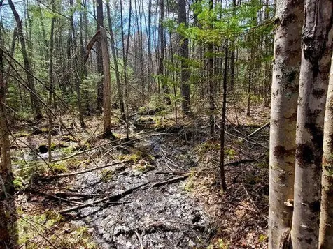 Lot #11B Sanford Road Wells ME 04090