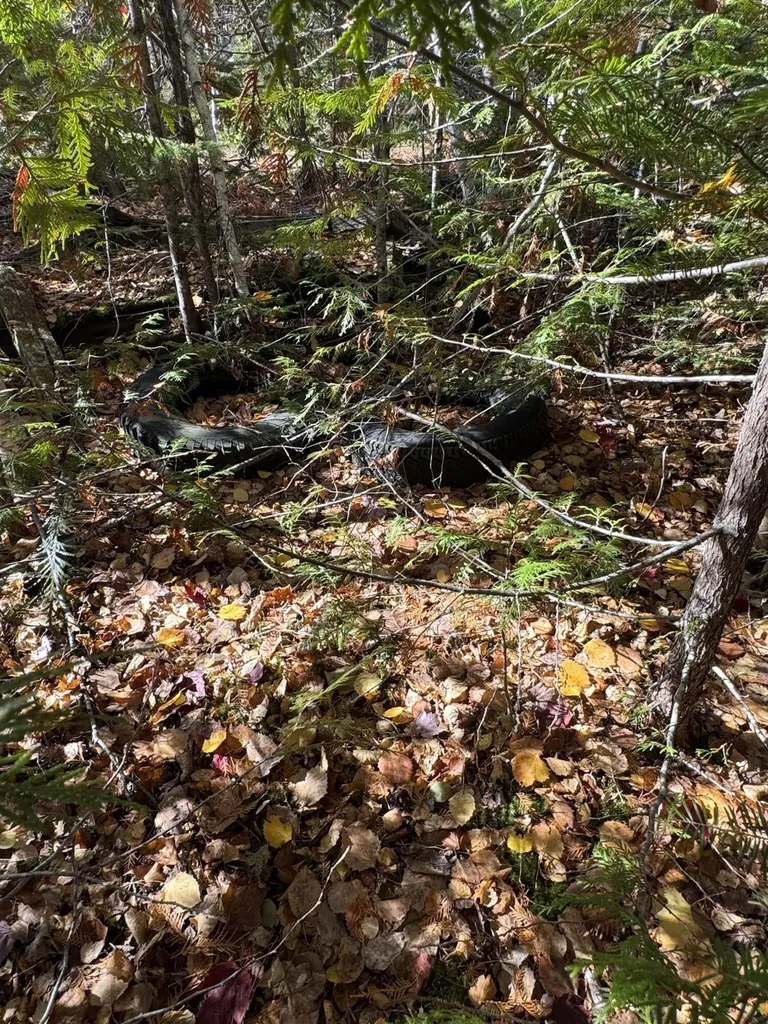 Lot 3a West Old Main Road Lowell ME 04493