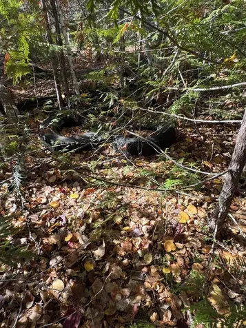 Lot 3a West Old Main Road Lowell ME 04493