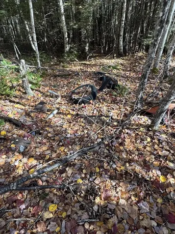 Lot 3a West Old Main Road Lowell ME 04493