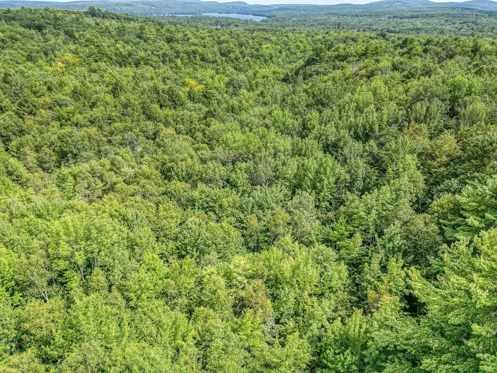 24A-1A Scribner Hill Road Otisfield ME 04270
