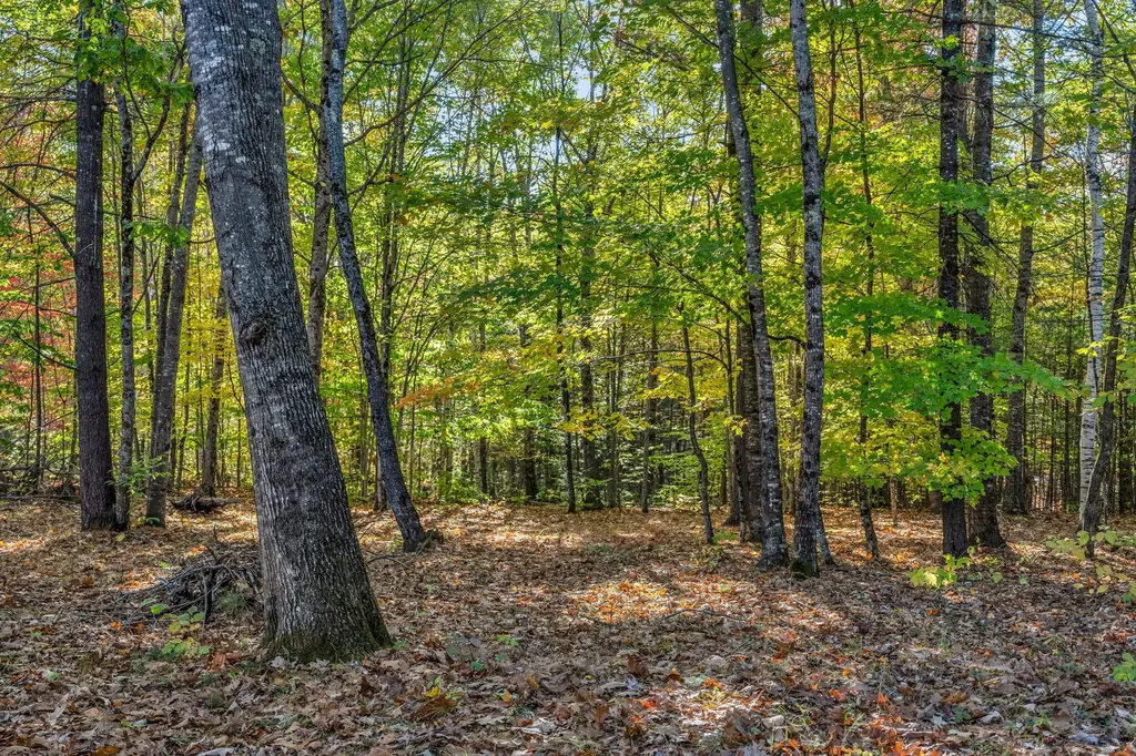 19 Birch Estates Rome ME 04963