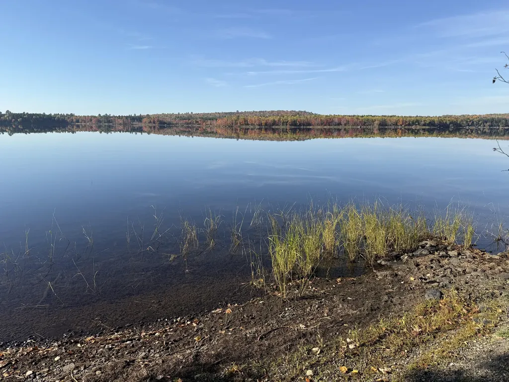 55 Mcnelly Road Island Falls ME 04747