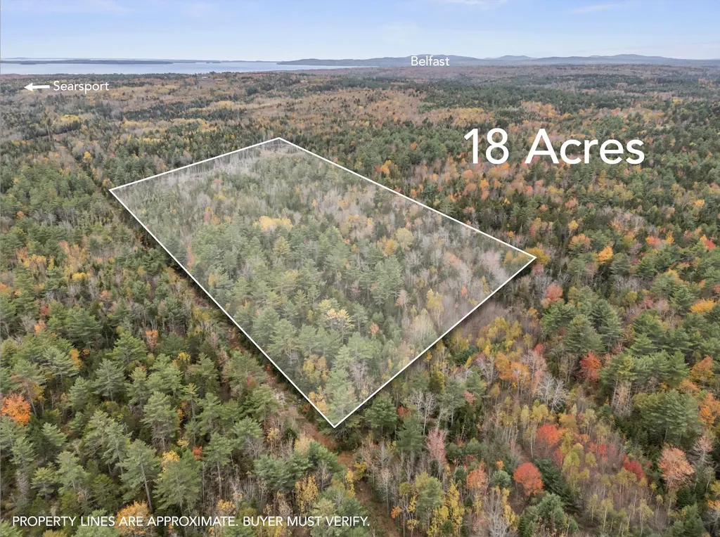 M6 L 26 Black Road N Searsport ME 04974