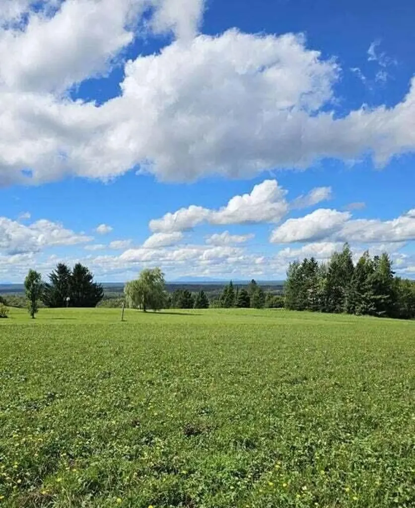 341 Us Route 1 Weston ME 04424