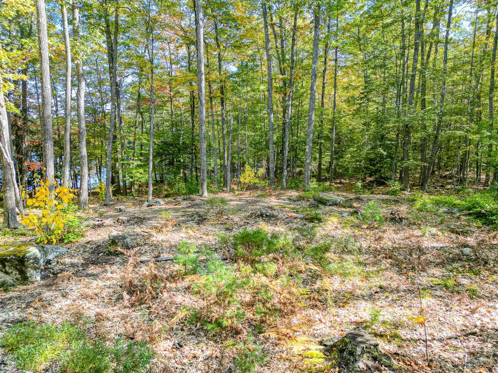 Tbd Blue Jay Way Fayette ME 04349