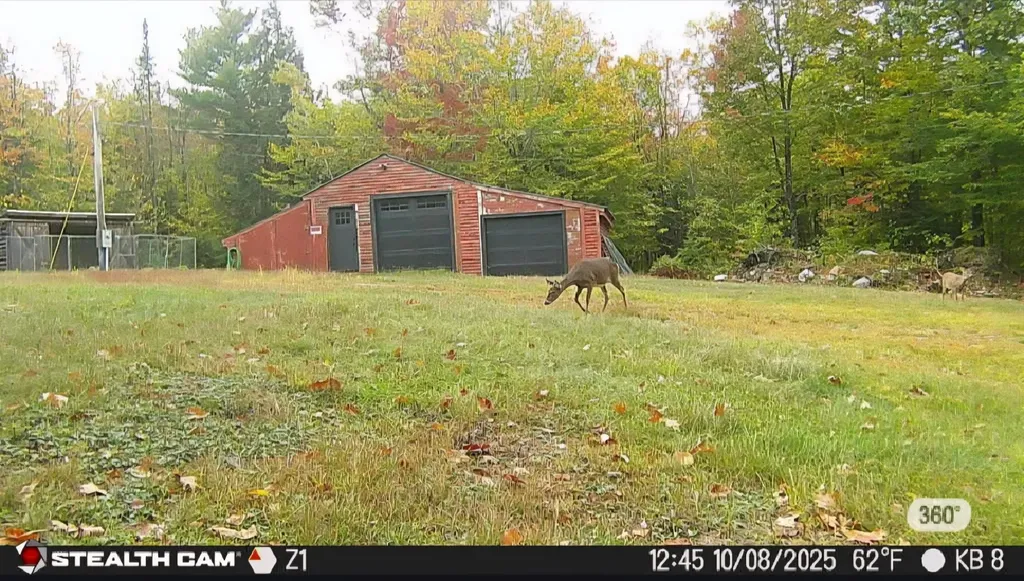 20 Kittridge Brook Road West Paris ME 04289
