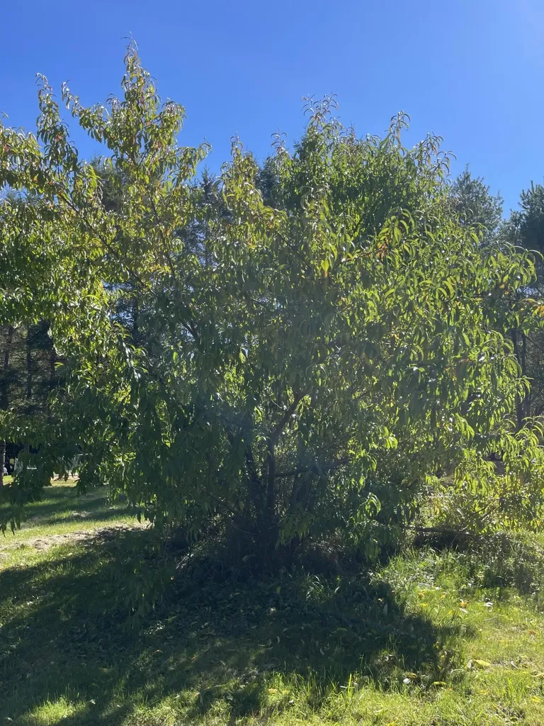 879 Hudson Road Glenburn ME 04401