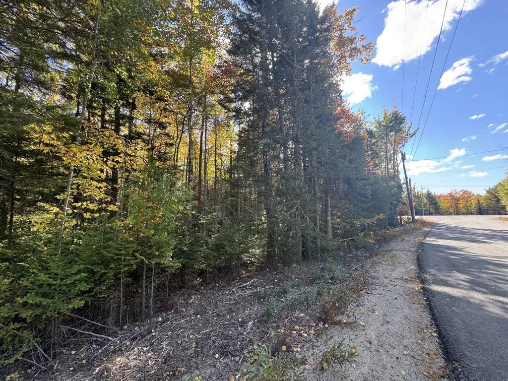 023-003-4 Walters Road Gouldsboro ME 04607