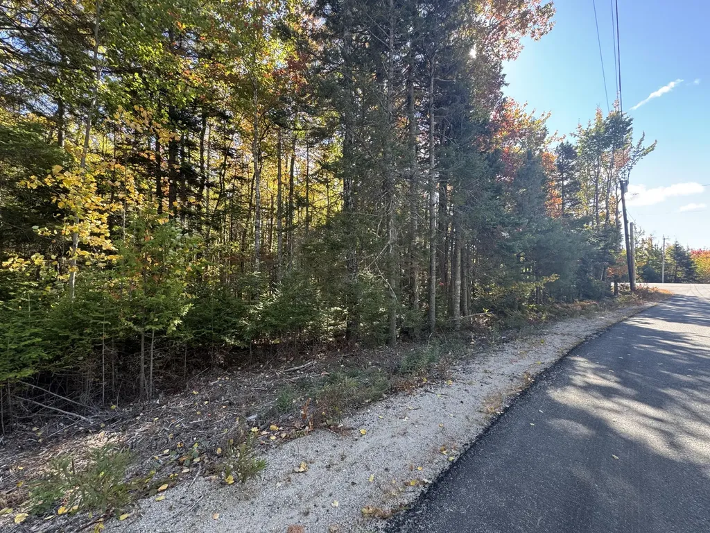 023-003-4 Walters Road Gouldsboro ME 04607