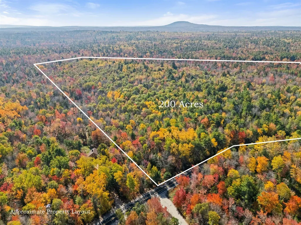 Lot #15 Toddy Pond Road Surry ME 04684