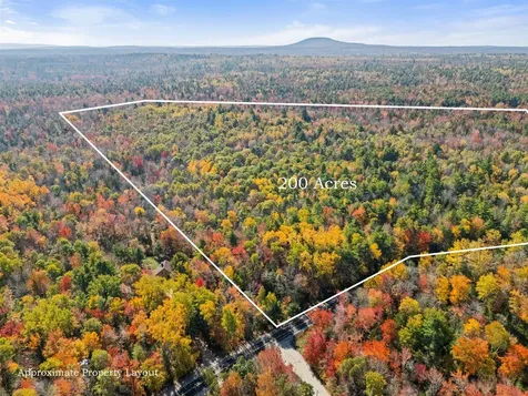 Lot #15 Toddy Pond Road Surry ME 04684