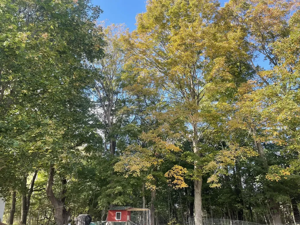 565 River Road Anson ME 04958