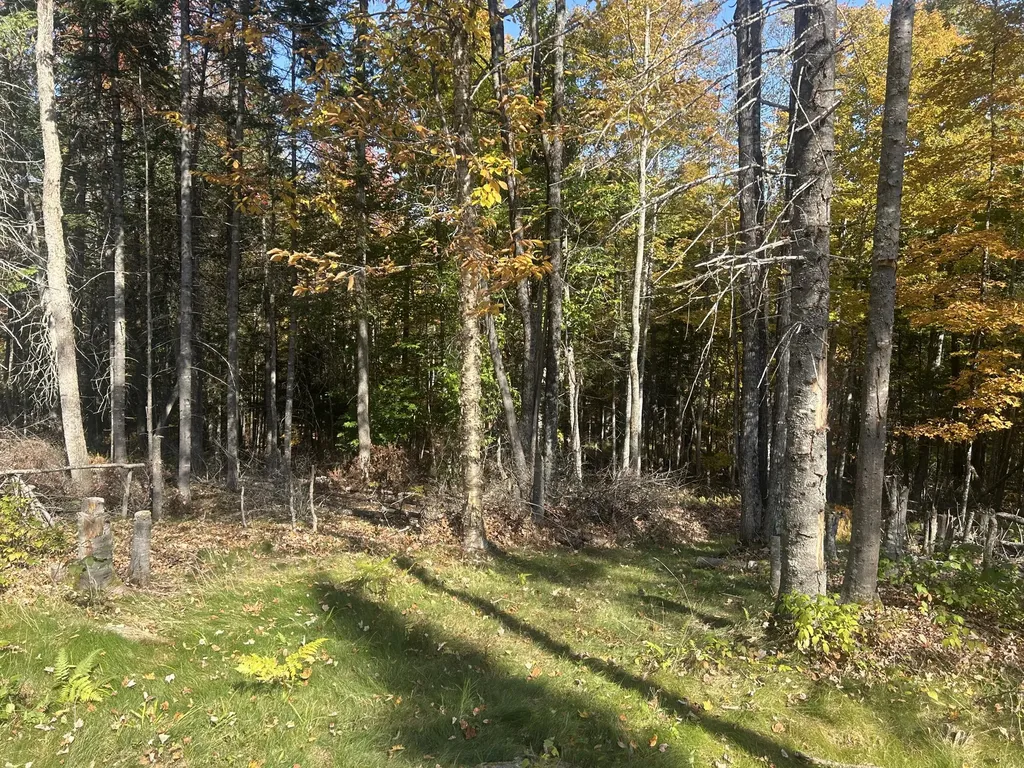 75 Twin Oaks Drive Saint Albans ME 04971