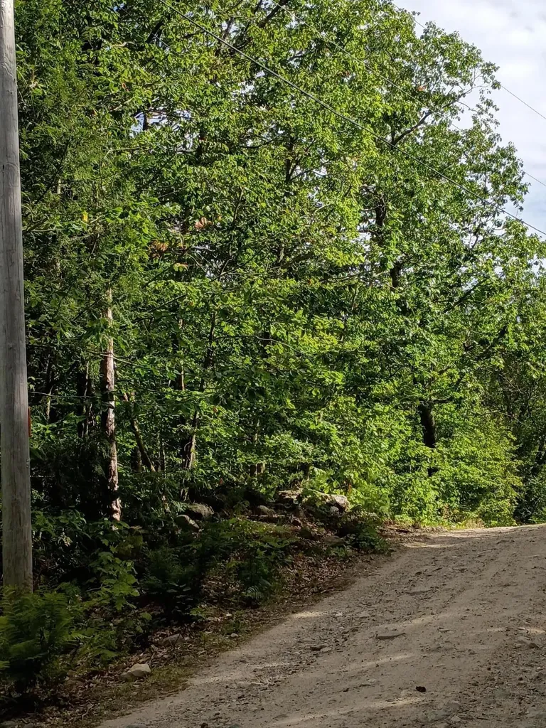 R13/038 Weeks Road Parsonsfield ME 04047