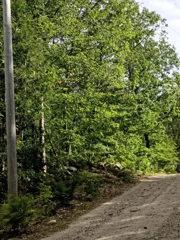 R13/038 Weeks Road Parsonsfield ME 04047