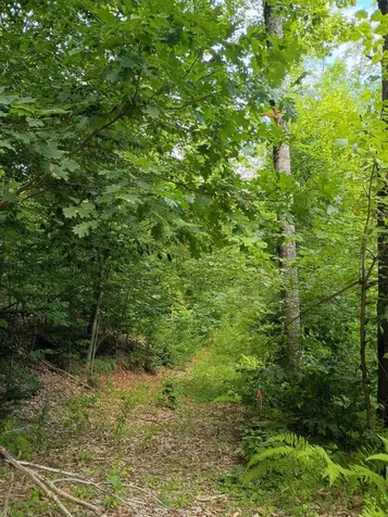 R13/038 Weeks Road Parsonsfield ME 04047
