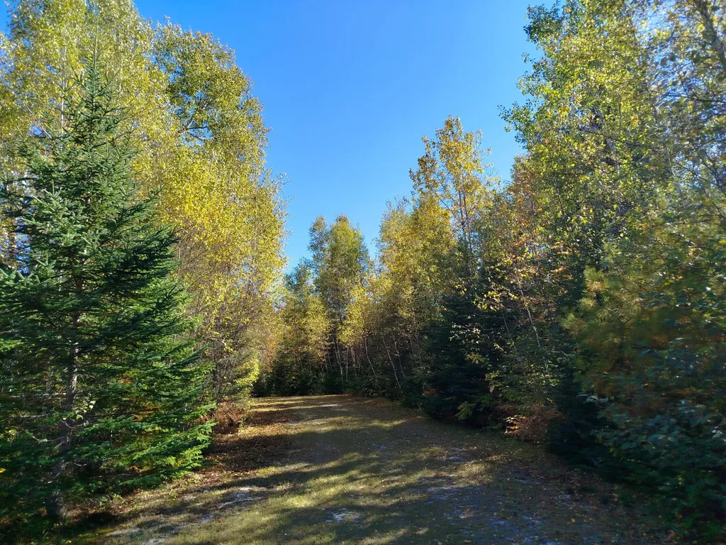 717 Crystal Road Crystal ME 04747