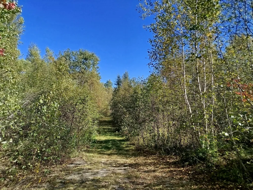 717 Crystal Road Crystal ME 04747