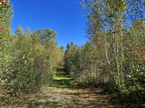 717 Crystal Road Crystal ME 04747