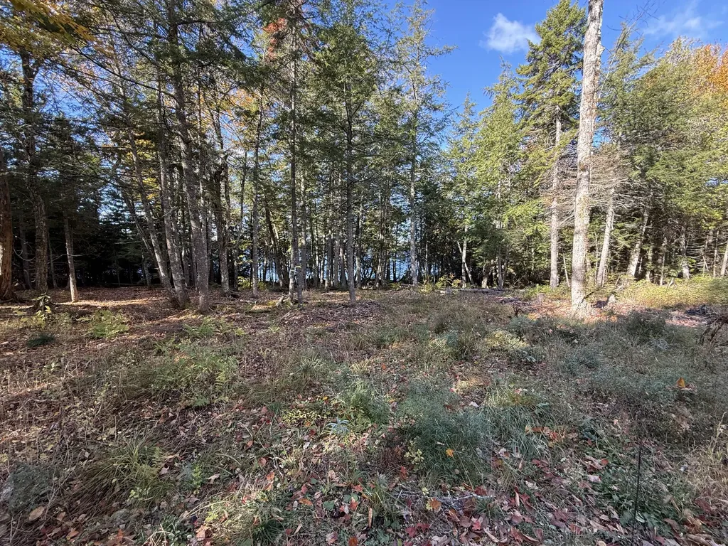 2 East Shore Road Glenwood ME 04497