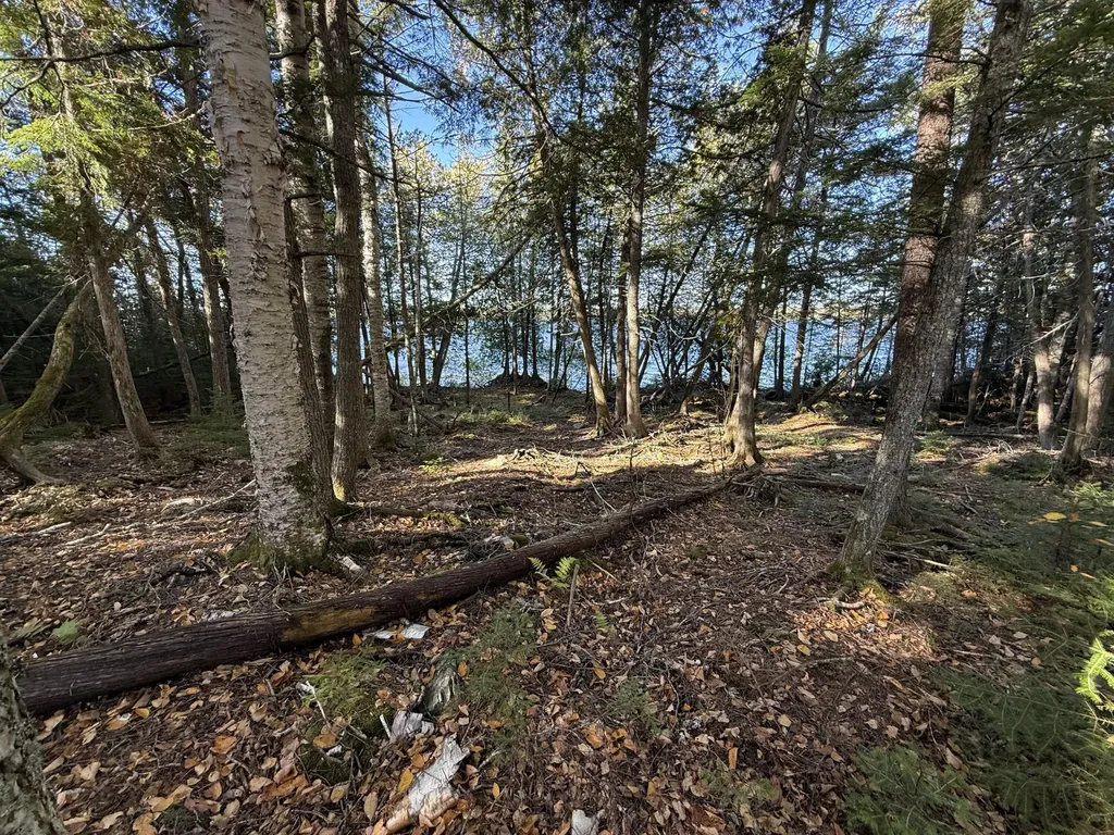 2 East Shore Road Glenwood ME 04497