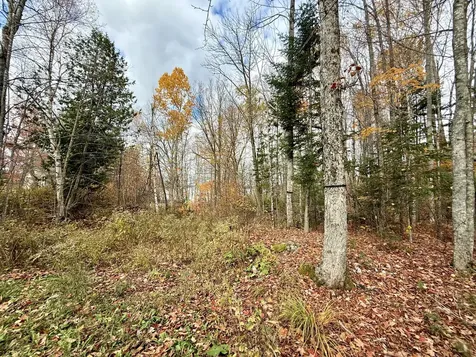 22 Pine Tree Shores Alexander ME 04694