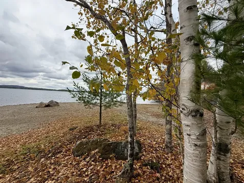 22 Pine Tree Shores Alexander ME 04694