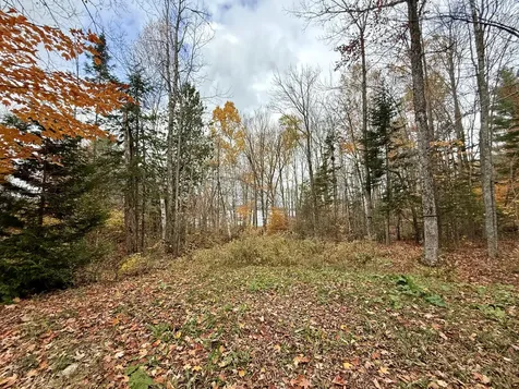 22 Pine Tree Shores Alexander ME 04694