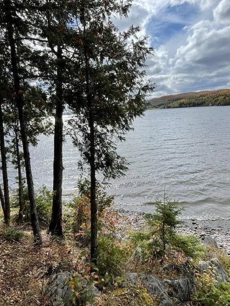 837 Sly Brook Road Wallagrass ME 04781
