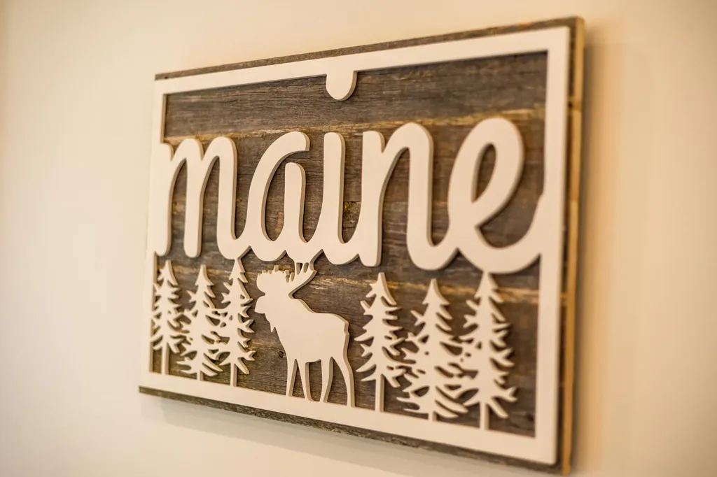 49 Cooper Lane Moosehead Junction Twp ME 04442