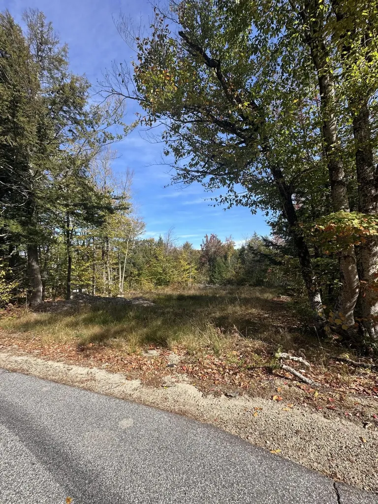 Lot 4 Hancock Pond Road Sebago ME 04029