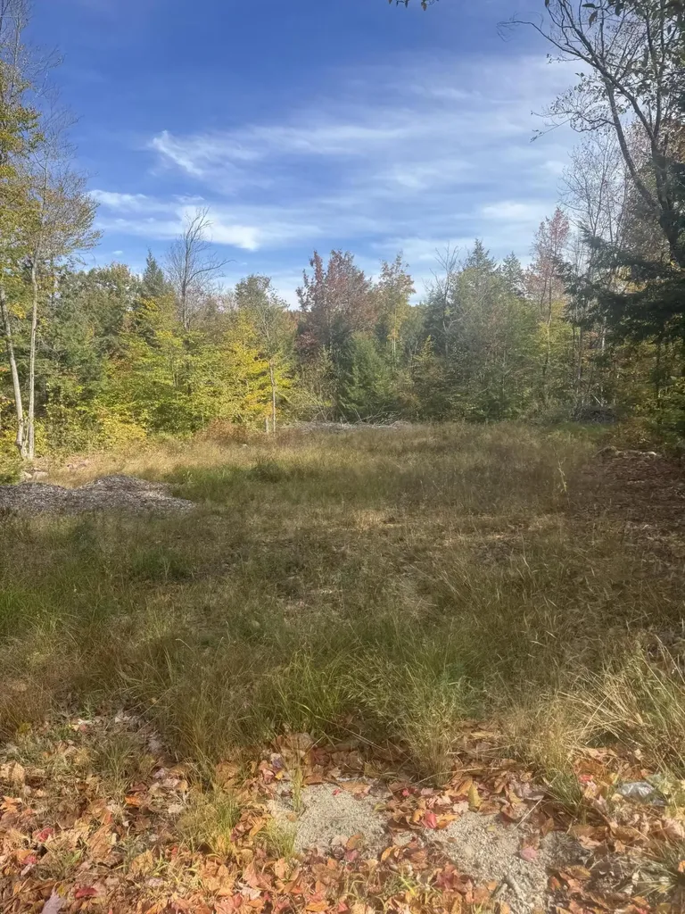 Lot 4 Hancock Pond Road Sebago ME 04029