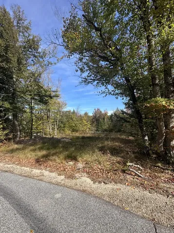 Lot 4 Hancock Pond Road Sebago ME 04029
