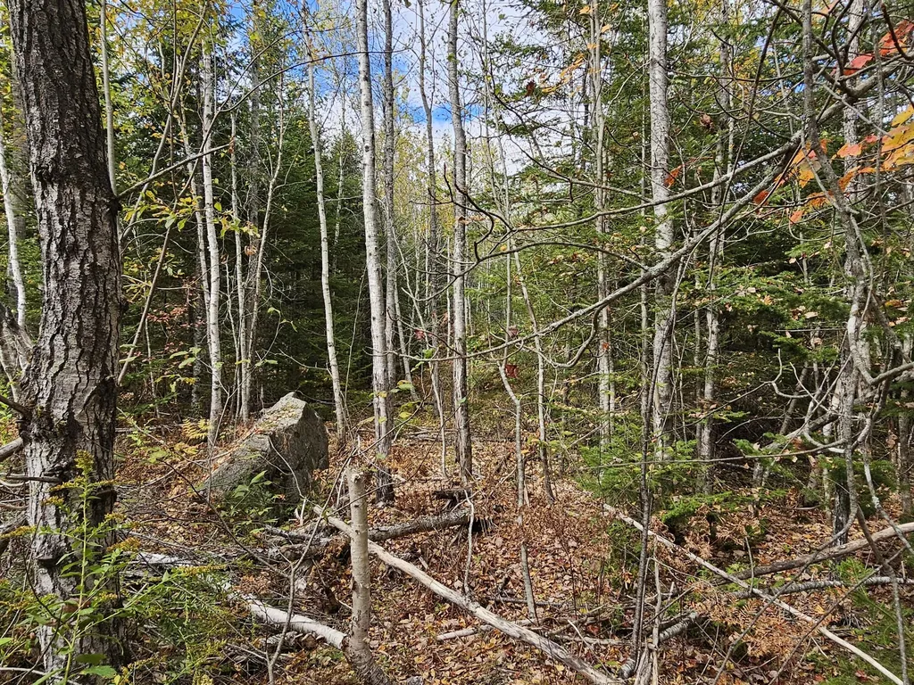 Map R09, Lot 12, Fox Run Drive Mariaville ME 04605