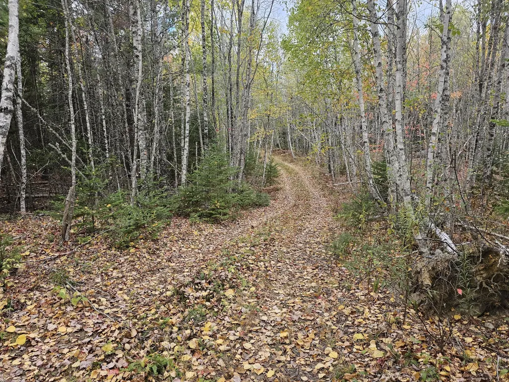 Map R09, Lot 12, Fox Run Drive Mariaville ME 04605