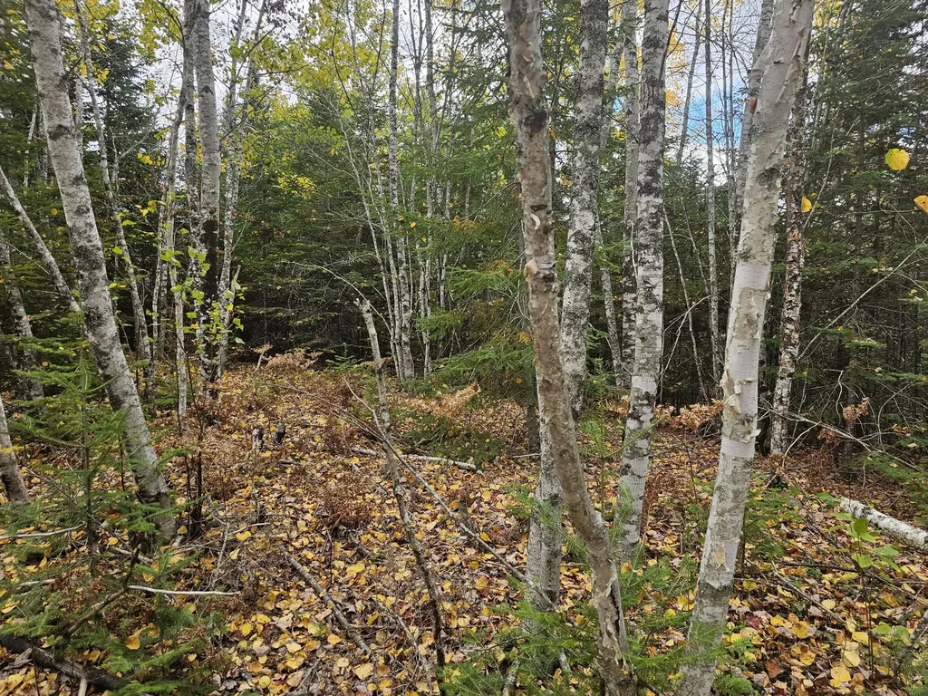 Map R09, Lot 12, Fox Run Drive Mariaville ME 04605