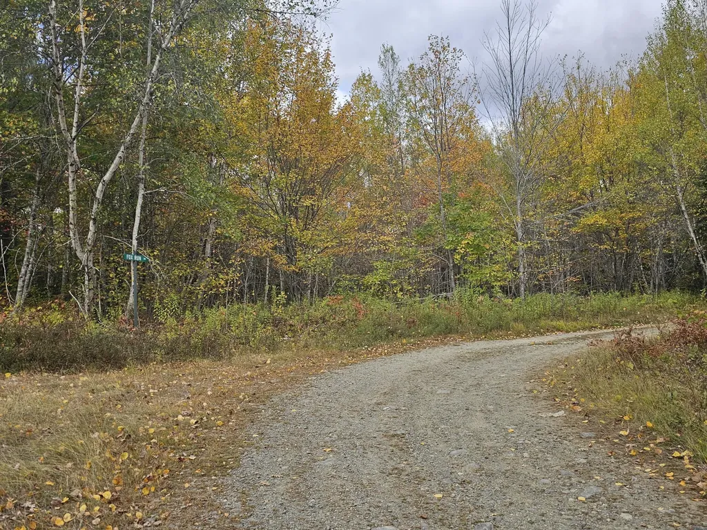 Map R09, Lot 12, Fox Run Drive Mariaville ME 04605