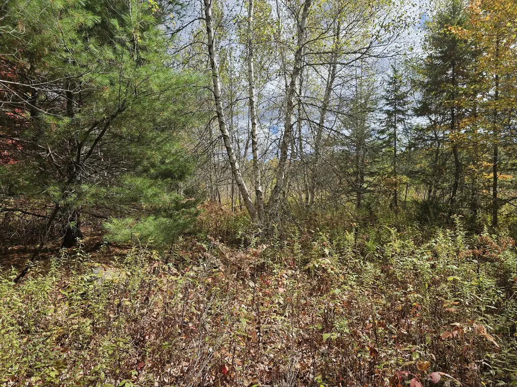 Map R09, Lot 12, Fox Run Drive Mariaville ME 04605
