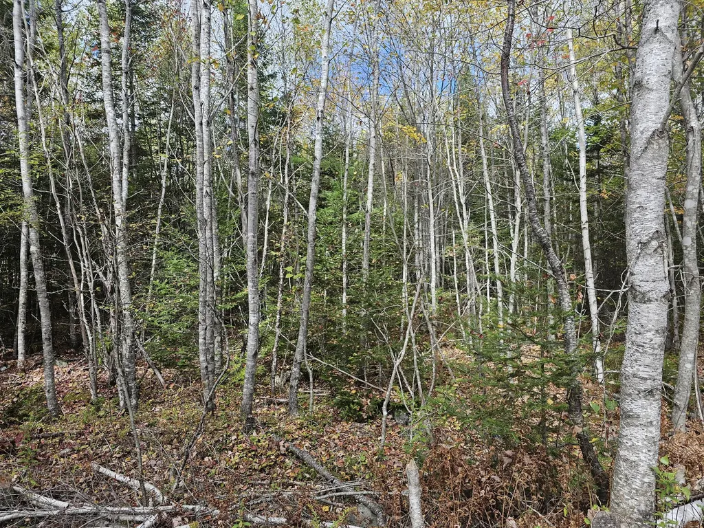 Map R09, Lot 12, Fox Run Drive Mariaville ME 04605