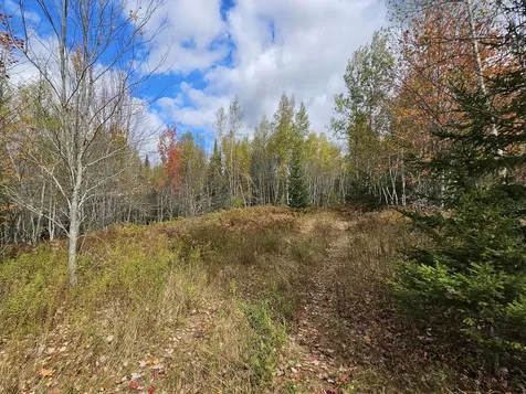 Map R09, Lot 12, Fox Run Drive Mariaville ME 04605