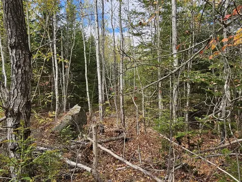 Map R09, Lot 12, Fox Run Drive Mariaville ME 04605