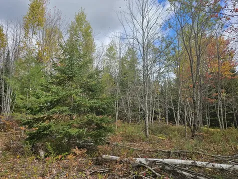 Map R09, Lot 12, Fox Run Drive Mariaville ME 04605