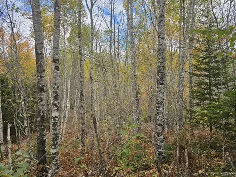 Map R09, Lot 12, Fox Run Drive Mariaville ME 04605