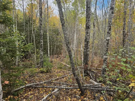 Map R09, Lot 12, Fox Run Drive Mariaville ME 04605