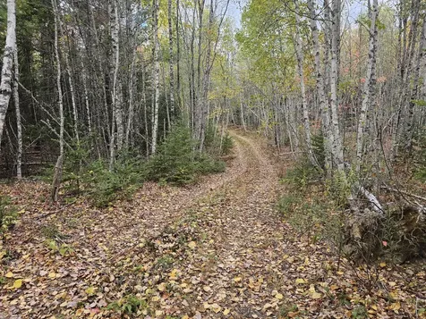 Map R09, Lot 12, Fox Run Drive Mariaville ME 04605