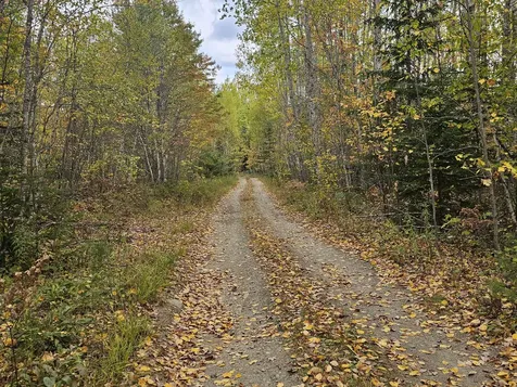 Map R09, Lot 12, Fox Run Drive Mariaville ME 04605